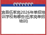 宜昌伍家岗2026年单招培训学校有哪些(伍家岗单招培训)