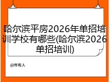 哈尔滨平房2026年单招培训学校有哪些(哈尔滨2026单招培训)