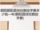 朝阳朝阳县技校数控学费多少钱一年(朝阳县技校数控学费)