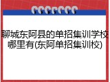 聊城东阿县的单招集训学校哪里有(东阿单招集训校)
