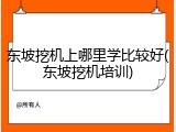 东坡挖机上哪里学比较好(东坡挖机培训)