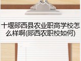 十堰郧西县农业职高学校怎么样啊(郧西农职校如何)