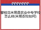 攀枝花米易县农业中专学校怎么样(米易农校如何)