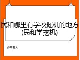 民和哪里有学挖掘机的地方(民和学挖机)