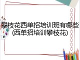 攀枝花西单招培训班有哪些(西单招培训攀枝花)
