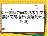 株洲炎陵县高考艺考生文化课补习班推荐(炎陵艺考文化班)
