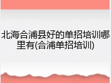 北海合浦县好的单招培训哪里有(合浦单招培训)