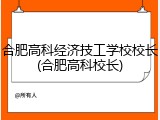 合肥高科经济技工学校校长(合肥高科校长)