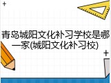 青岛城阳文化补习学校是哪一家(城阳文化补习校)