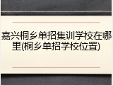 嘉兴桐乡单招集训学校在哪里(桐乡单招学校位置)