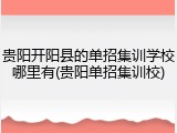 贵阳开阳县的单招集训学校哪里有(贵阳单招集训校)