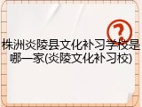 株洲炎陵县文化补习学校是哪一家(炎陵文化补习校)