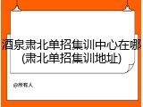 酒泉肃北单招集训中心在哪(肃北单招集训地址)