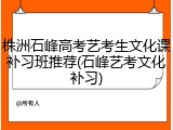 株洲石峰高考艺考生文化课补习班推荐(石峰艺考文化补习)