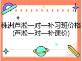 株洲芦淞一对一补习班价格(芦淞一对一补课价)