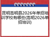 昆明嵩明县2026年单招培训学校有哪些(嵩明2026单招培训)
