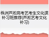 株洲芦淞高考艺考生文化课补习班推荐(芦淞艺考文化补习)