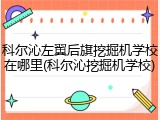 科尔沁左翼后旗挖掘机学校在哪里(科尔沁挖掘机学校)