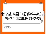 南宁武鸣县单招数控学校有哪些(武鸣单招数控校)
