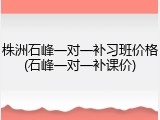 株洲石峰一对一补习班价格(石峰一对一补课价)