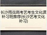 长沙雨花高考艺考生文化课补习班推荐(长沙艺考文化补习)
