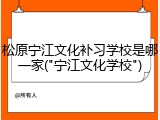 松原宁江文化补习学校是哪一家("宁江文化学校")