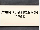 广东风华高新科技股份(风华高科)