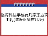 临沂科技学校有几家职业高中呢(临沂职高有几所)