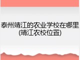 泰州靖江的农业学校在哪里(靖江农校位置)