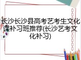 长沙长沙县高考艺考生文化课补习班推荐(长沙艺考文化补习)