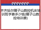 齐齐哈尔碾子山数控机床培训班学费多少钱(碾子山数控培训费)