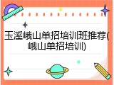 玉溪峨山单招培训班推荐(峨山单招培训)