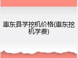 惠东县学挖机价格(惠东挖机学费)