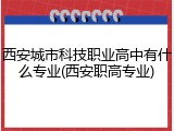 西安城市科技职业高中有什么专业(西安职高专业)