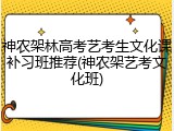 神农架林高考艺考生文化课补习班推荐(神农架艺考文化班)