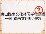 唐山路南文化补习学校是哪一家(路南文化补习校)