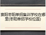 襄阳枣阳单招集训学校在哪里(枣阳单招学校位置)