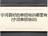 宁河县好的单招培训哪里有(宁河单招培训)