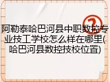 阿勒泰哈巴河县中职数控专业技工学校怎么样在哪里(哈巴河县数控技校位置)