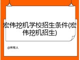宏伟挖机学校招生条件(宏伟挖机招生)
