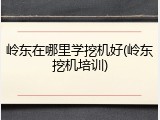 岭东在哪里学挖机好(岭东挖机培训)