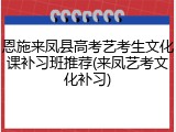 恩施来凤县高考艺考生文化课补习班推荐(来凤艺考文化补习)