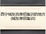 西宁城东找单招集训的地方(城东单招集训)