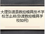 大理弥渡县数控模具技术学校怎么样(弥渡数控模具学校如何)