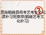 恩施鹤峰县高考艺考生文化课补习班推荐(鹤峰艺考文化补习)