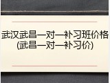 武汉武昌一对一补习班价格(武昌一对一补习价)