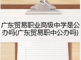 广东贸易职业高级中学是公办吗(广东贸易职中公办吗)