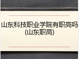 山东科技职业学院有职高吗(山东职高)