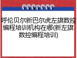 呼伦贝尔新巴尔虎左旗数控编程培训机构在哪(新左旗数控编程培训)