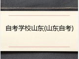 自考学校山东(山东自考)
